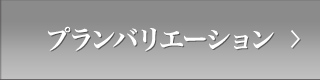 プランバリエーション