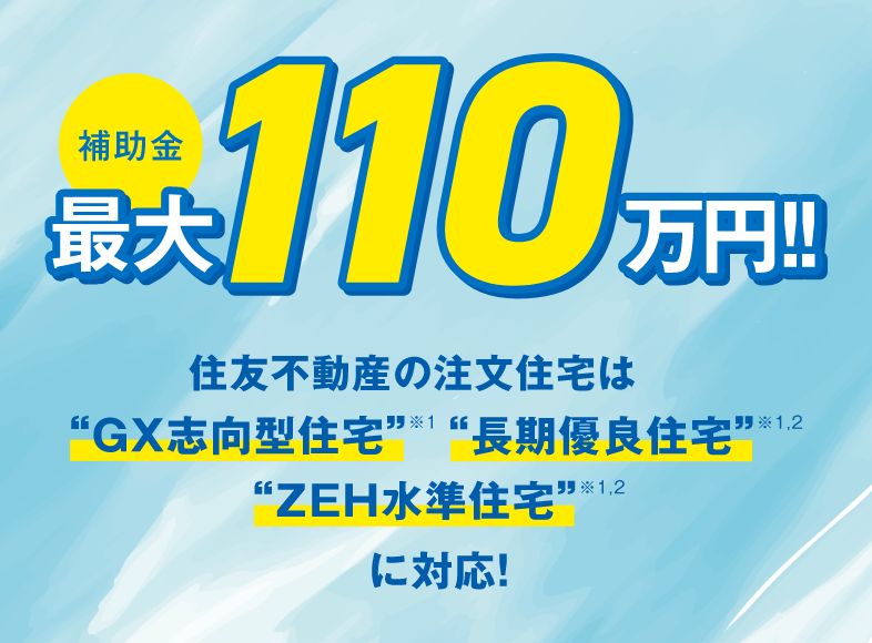 補助金最大110万円